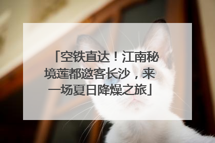空铁直达！江南秘境莲都邀客长沙，来一场夏日降燥之旅