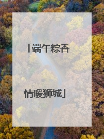 端午粽香 情暖狮城