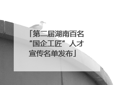 第二届湖南百名“国企工匠”人才宣传名单发布