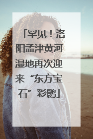 罕见！洛阳孟津黄河湿地再次迎来“东方宝石”彩鹮