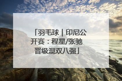 羽毛球｜印尼公开赛：程星/张驰晋级混双八强