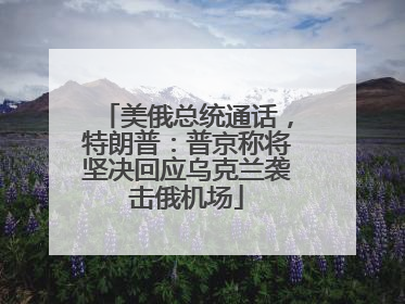 美俄总统通话，特朗普：普京称将坚决回应乌克兰袭击俄机场