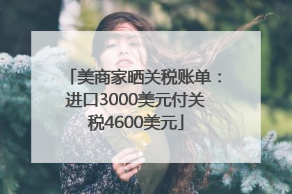 美商家晒关税账单：进口3000美元付关税4600美元