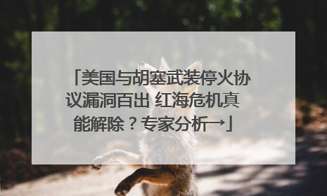 美国与胡塞武装停火协议漏洞百出 红海危机真能解除？专家分析→