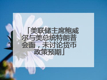 美联储主席鲍威尔与美总统特朗普会面，未讨论货币政策预期