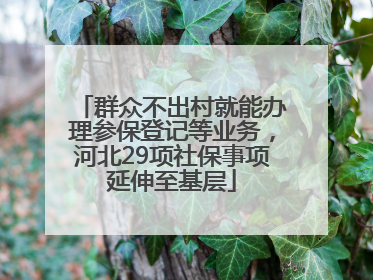 群众不出村就能办理参保登记等业务，河北29项社保事项延伸至基层