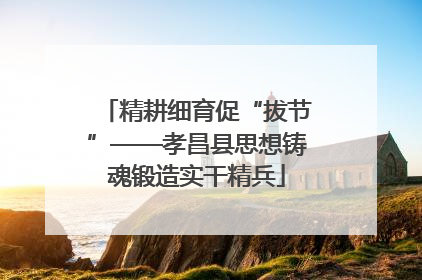 精耕细育促“拔节”——孝昌县思想铸魂锻造实干精兵