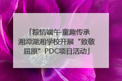 粽情端午·童趣传承 湘潭湖湘学校开展“致敬屈原”PDC项目活动