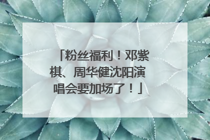 粉丝福利！邓紫棋、周华健沈阳演唱会要加场了！