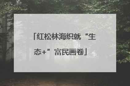 红松林海织就“生态+”富民画卷
