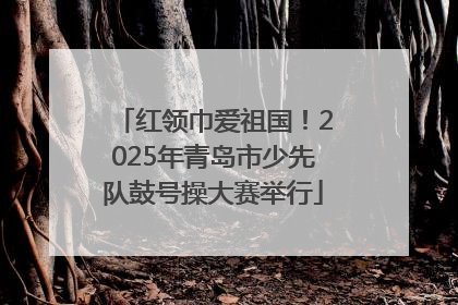 红领巾爱祖国！2025年青岛市少先队鼓号操大赛举行