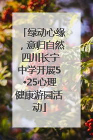 绿动心缘，意归自然 四川长宁中学开展5•25心理健康游园活动