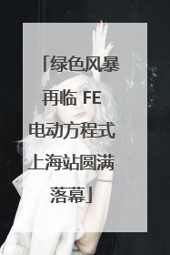 绿色风暴再临 FE电动方程式上海站圆满落幕