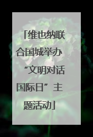 维也纳联合国城举办“文明对话国际日”主题活动