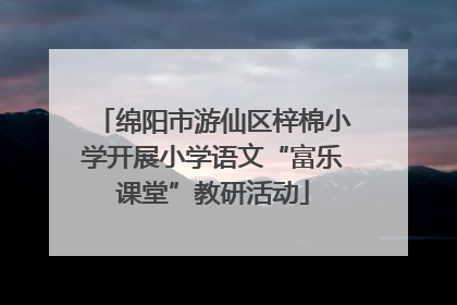 绵阳市游仙区梓棉小学开展小学语文“富乐课堂”教研活动