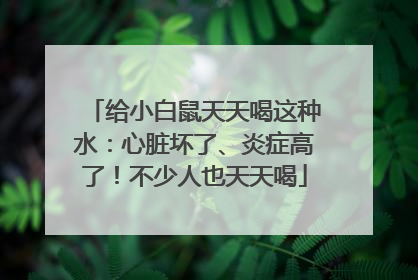 给小白鼠天天喝这种水：心脏坏了、炎症高了！不少人也天天喝