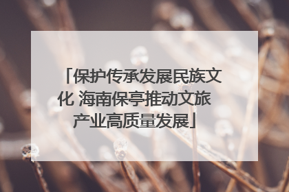 保护传承发展民族文化 海南保亭推动文旅产业高质量发展