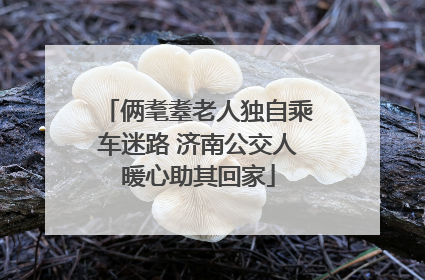 俩耄耋老人独自乘车迷路 济南公交人暖心助其回家