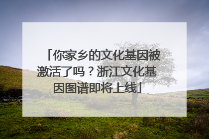 你家乡的文化基因被激活了吗？浙江文化基因图谱即将上线