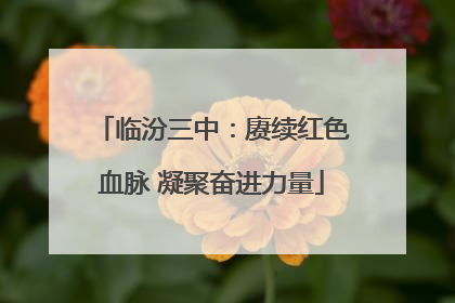 临汾三中：赓续红色血脉 凝聚奋进力量