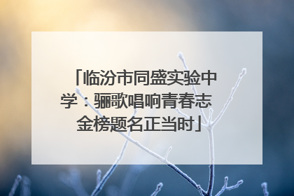 临汾市同盛实验中学：骊歌唱响青春志 金榜题名正当时