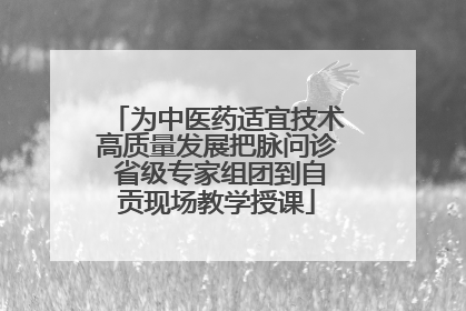 为中医药适宜技术高质量发展把脉问诊 省级专家组团到自贡现场教学授课