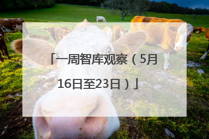 一周智库观察（5月16日至23日）