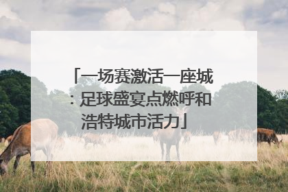 一场赛激活一座城：足球盛宴点燃呼和浩特城市活力