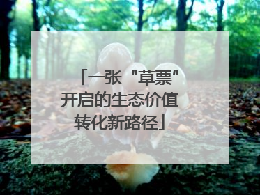一张“草票”开启的生态价值转化新路径