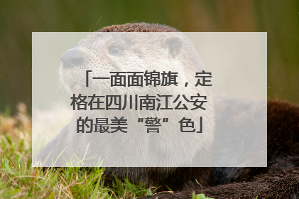一面面锦旗，定格在四川南江公安的最美“警”色