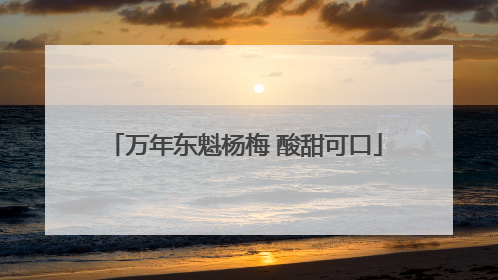 万年东魁杨梅 酸甜可口