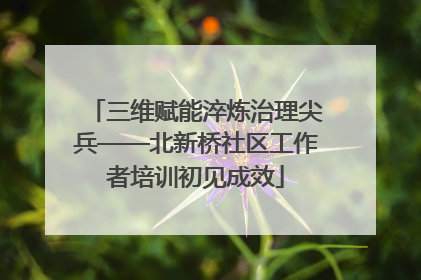 三维赋能淬炼治理尖兵——北新桥社区工作者培训初见成效