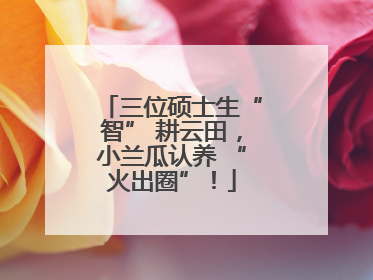 三位硕士生“智” 耕云田，小兰瓜认养 “火出圈”！