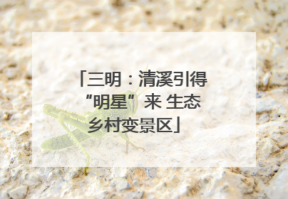 三明：清溪引得“明星”来 生态乡村变景区