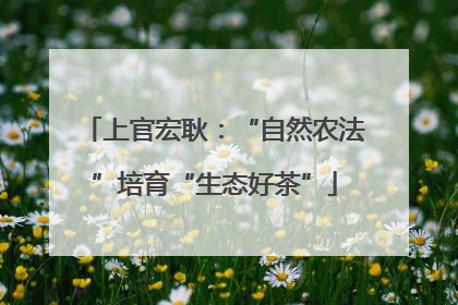 上官宏耿：“自然农法”培育“生态好茶”