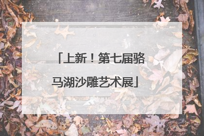 上新！第七届骆马湖沙雕艺术展