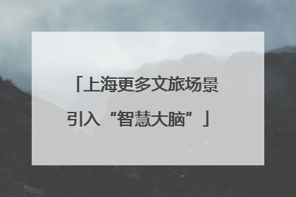 上海更多文旅场景引入“智慧大脑”