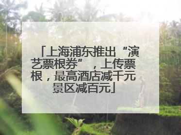 上海浦东推出“演艺票根券”，上传票根，最高酒店减千元景区减百元