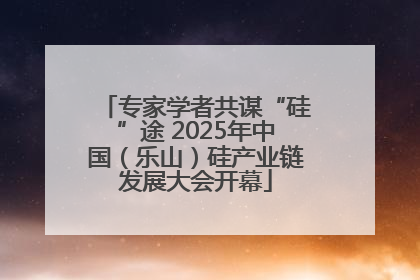 专家学者共谋“硅”途 2025年中国（乐山）硅产业链发展大会开幕