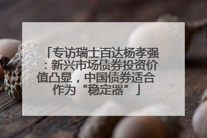 专访瑞士百达杨孝强：新兴市场债券投资价值凸显，中国债券适合作为“稳定器”