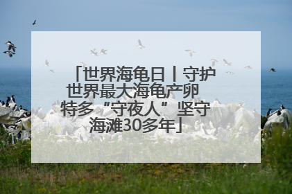 世界海龟日丨守护世界最大海龟产卵 特多“守夜人”坚守海滩30多年