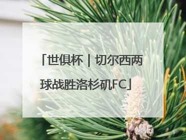 世俱杯｜切尔西两球战胜洛杉矶FC