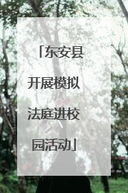 东安县开展模拟法庭进校园活动