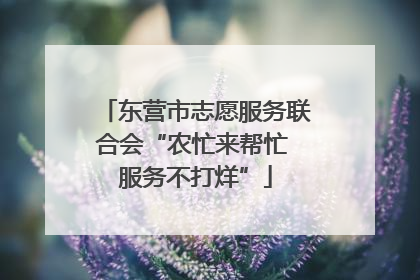 东营市志愿服务联合会“农忙来帮忙 服务不打烊”