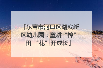 东营市河口区湖滨新区幼儿园：童耕“棉”田 “花”开成长