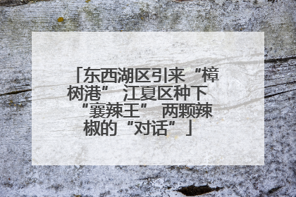 东西湖区引来“樟树港” 江夏区种下“襄辣王” 两颗辣椒的“对话”