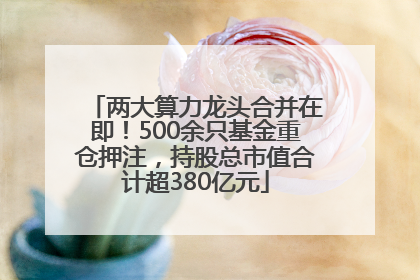 两大算力龙头合并在即！500余只基金重仓押注，持股总市值合计超380亿元