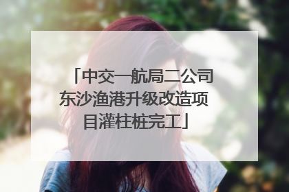 中交一航局二公司东沙渔港升级改造项目灌柱桩完工