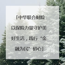 中华联合财险：以保险力量守护美好生活，践行“金融为民”初心