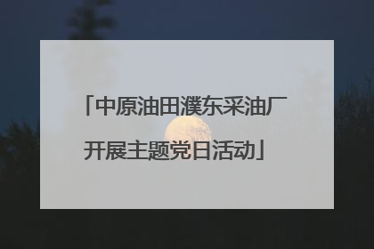 中原油田濮东采油厂开展主题党日活动